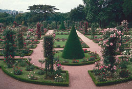 Gardens - Europe - France : Bagatelle, Paris