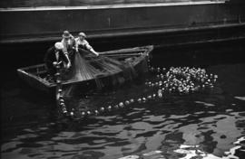 [Fishermen hauling in their net]