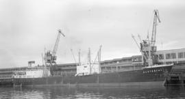 M.S. Alstertal [at dock]