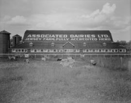 Associated Dairies Limited farm - Exterior of barns