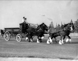 Four-horse team pulling Crystal Dairy wagon