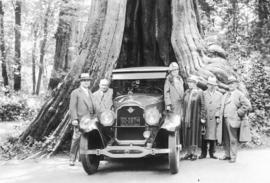 [A car parked in the Hollow Tree at Stanley Park]