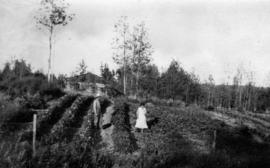 [Man and woman in] a garden near Pouce Coupe, S.H. Luck, Pouce Coupe, B.C.