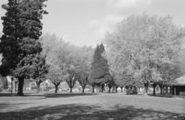 Memorial Park South, 41st Avenue entrance road