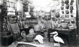 Dr. Raley's Collection of Indian Relics in position at the Coqualeetza Indian Residential School