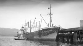 M.S. Werratal [at dock]