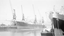 S.S. Hong Kong Maru [at dock]