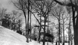 Skiing on Mount Royal