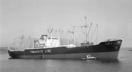 M.S. Yamaharu Maru