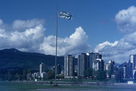 Centennial flag at Vanier Park