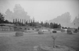 [Automobiles at Peace Arch Provincial Park]