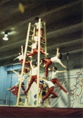 Children perform routine with ladders