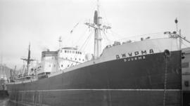 S.S. Djurma [at dock]