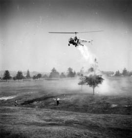 Helicopter hovering over P.N.E. golf course