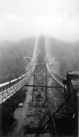 [The Lions Gate (First Narrows) Bridge under construction]