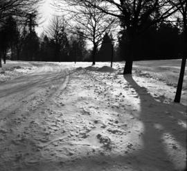 [A snowy road]