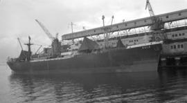 S.S. Sula [at dock]