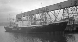 M.S. Yamatsuki Maru [at dock]