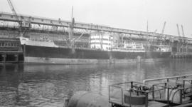 M.S. Araby [at dock]