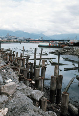 False Creek - Cleanup progress #3 [1 of 20]