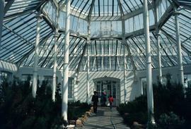 Gardens - United Kingdom - Royal Botanical Garden - Kew : Temperate House