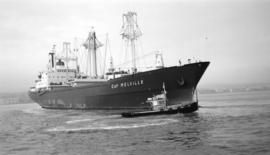 M.S. Cap Melville