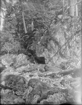 P.J. Salter standing in forest