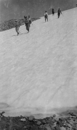 Group of hikers