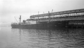 S.S. Cavolidi [at dock]