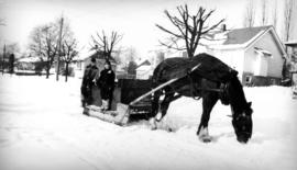 Milk sled at 41st and Collingwood [Street]