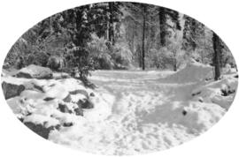 Snow scene [park pathway]