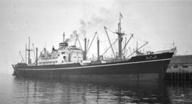 M.S. Arima Maru [at dock]