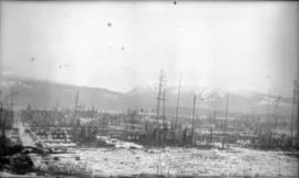 [Bird's eye view of Kitsilano area in the winter]