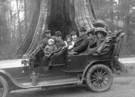 [Harry Hooper in his sightseeing car in front of the Hollow Tree]