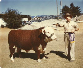 Man with grand champion Hereford bull