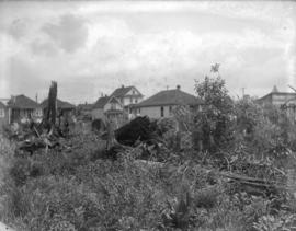 [Clearing land in Kerrisdale]