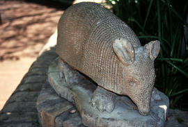 Gardens - United States : San Antonio Botanic Garden, tactile garden