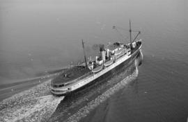 [Union Steamship Company's vessel "Cardena"]