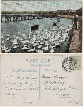 The Swans, Weymouth