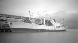 M.S. Navelinacore [at dock]
