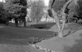 Tatlow Park, wooden bridge, stream edge looking north