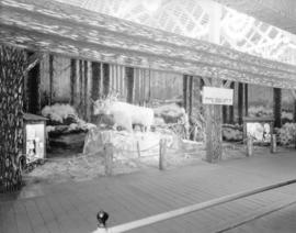 Imperial Tobacco Company float ["Clearing the Forest"]