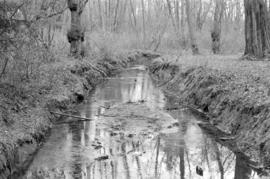 Musqueam Creek, near south end of Crown St.