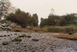 Celtic Slough