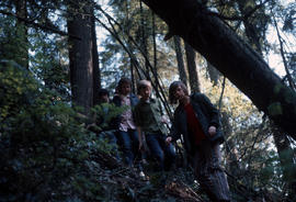 [Boys walking through the forest]