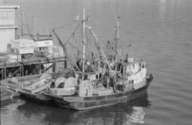 Fishing boats tied up at a dock