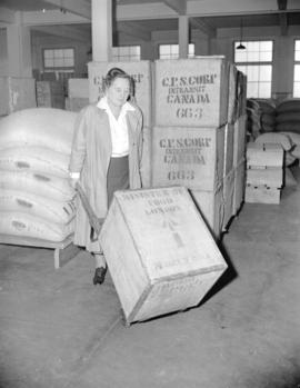 Mrs. Lillico [in shipping room at] Empire Tea Bureau