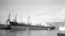 M.S. Orenburg [at dock]