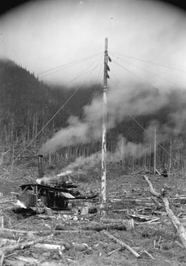 Green Point Logging Co. Ltd. [Spar tree - log loading]