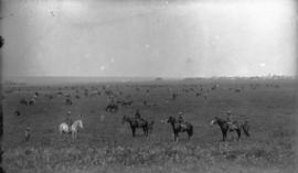 Ranch near Brandon, Man.